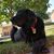 Judy Struve Tokar's profile image