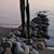 Kari H. Reinertsen's profile image