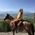 Joanne Berrien's profile image