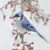 Holly Susan Jaeger's profile image