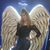 Ely Cano's profile image