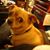 Dennis Earhart's profile image