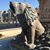 Chris Hopper's profile image