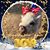 Cindy Gross's profile image