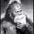 Dan Truhan's profile image