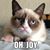 Cheryl Michael's profile image