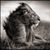 DrJonathan Ellerby's profile image