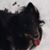 Stacey Klukluk's profile image