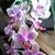 Myrna Raile's profile image
