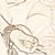 Red Edwards's profile image