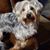 Beverly Johnson's profile image