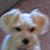 Doe Fourcaudot's profile image