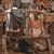 Liz Elliott's profile image