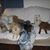 Dawn Campbell Gamache's profile image