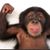 John C Rainard's profile image