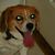 Robert Myers's profile image