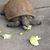 Deborah Marfia's profile image