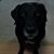 Daisy Ewing's profile image