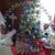 Vicki L. Flatt Crow's profile image