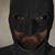 David Cuvillier's profile image