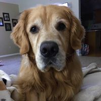Jill Kasprzyk Doll's profile image