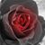 Charmed Julie's profile image