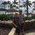 Gail Harlow Neuffer's profile image