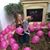 Abigail Klink's profile image