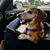 Jackie Stanly's profile image