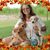 Cornelia C.Heckenbach's profile image