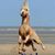 Donna Todd's profile image