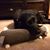 Lorrie Saladino-Gibbons's profile image
