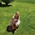 Melia Romine's profile image