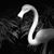 Sharon Winger's profile image