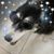 Rebecca Morris's profile image