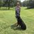 Traci Shoemaker Darwin's profile image