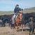 Connie Barger's profile image