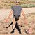 Alex Saavedra's profile image