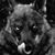 Mike Fuller's profile image