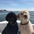 Debbie Perry Bayly's profile image