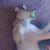 Kelly Satchell's profile image