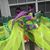 Marcela Beth Clay's profile image