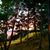 Sandy Morkert's profile image