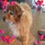Anne Hawkins's profile image