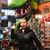 Jodi Muscarella Blohme's profile image