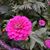 Martha Murray Zinn's profile image