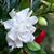 Connie Underwood's profile image
