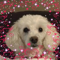 Jeanne Gromowsky Buglewicz's profile image