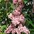 Heidi Little-Hickling's profile image
