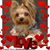 Dee Abbott's profile image